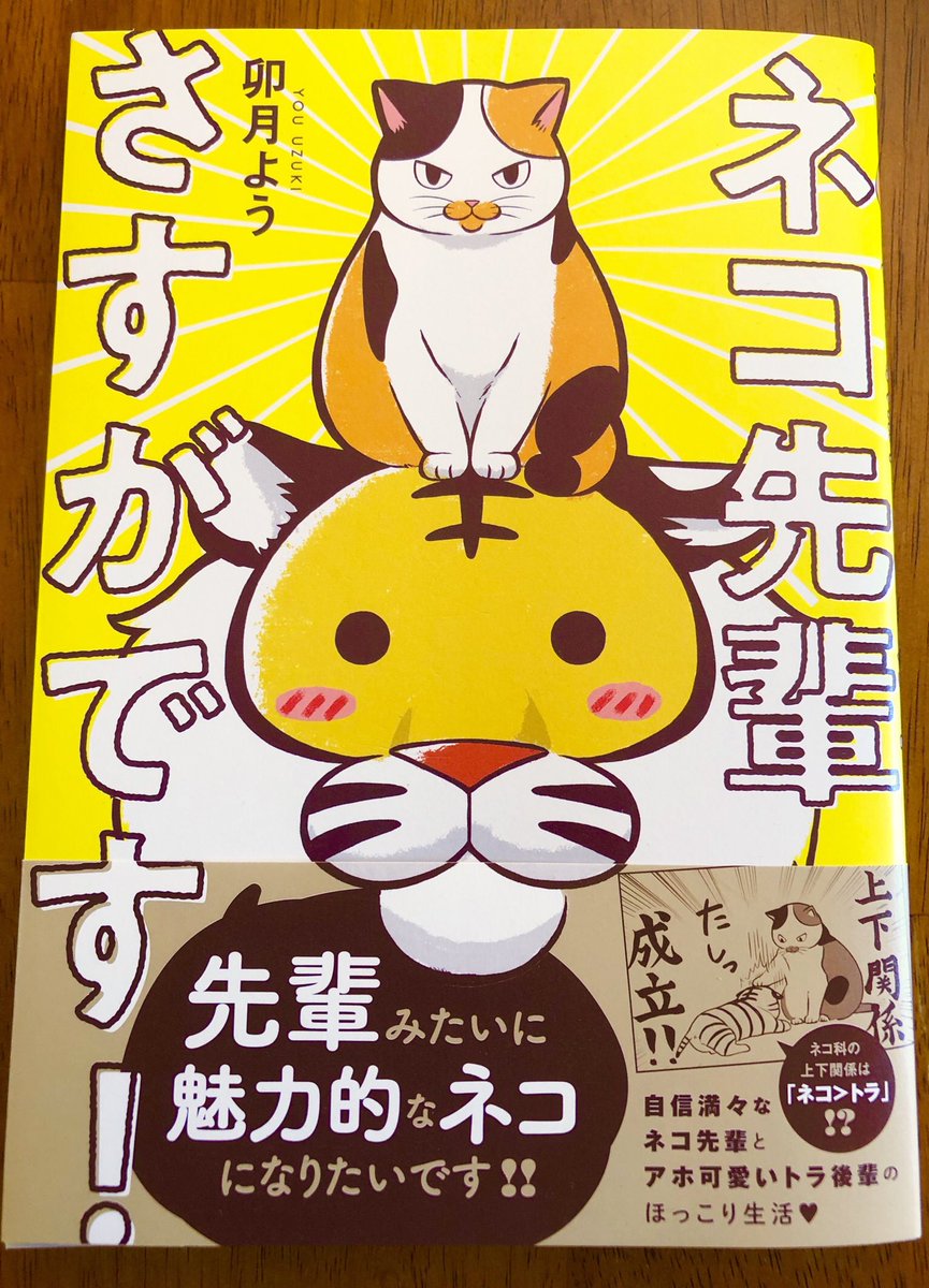 月刊アクションで連載中の『ネコ先輩さすがです!』単行本①巻が12月12日(木)発売となりました(*'∀`)アリガトウゴザイマス…年末年始のお休みのお供にいかがでしょうか。よろしくお願い致します?? 