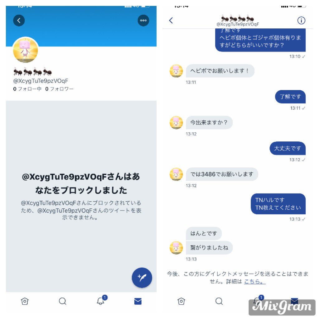 朝赤 こいつ詐欺師です Tnはんとでidです お気をつけてください ポケモン剣盾 ポケモン詐欺 T Co 4gc0akzpcj Twitter