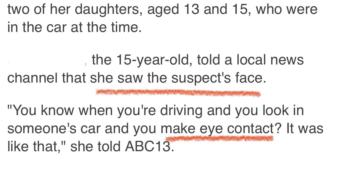 Think about which story makes sense here. ....gang members pulled up (twice!) on what was very clearly a mother and her daughters & emptied the clip on accident.....or that a known racist shot into a car full of Black ppl and Jazmine’s sister saw what & who she said she did.