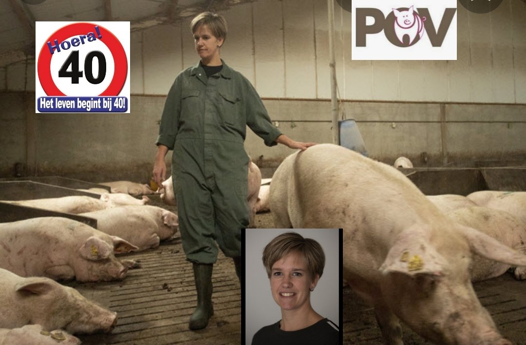 Vandaag allemaal @LindaJanssenV even feliciteren 🐷🎉🎈met haar jeugdige leeftijd. 
Ze heeft het verdiend afgelopen jaar