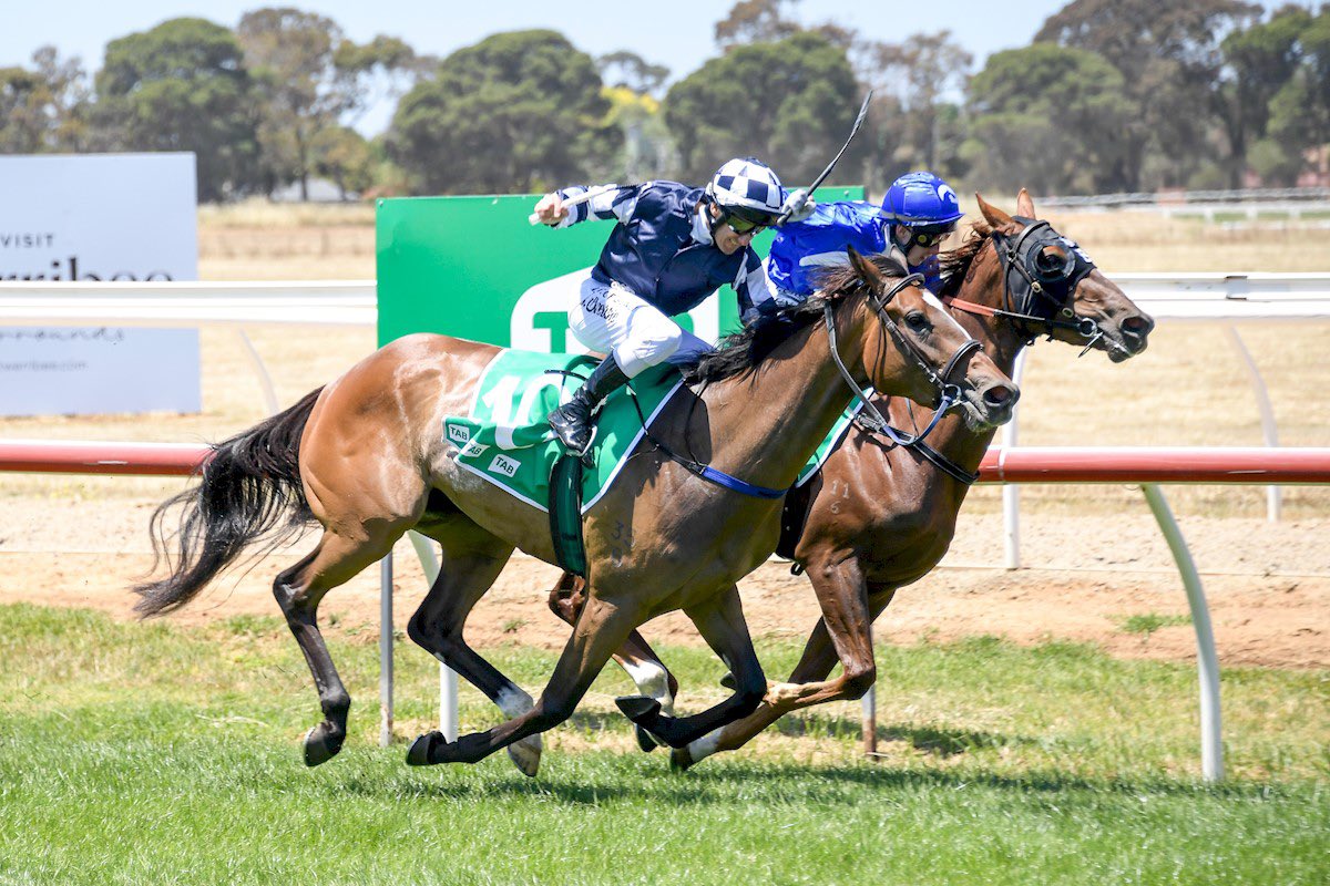 DOBrienRacing's tweet photo. Lunasnit pulls out all stops to break her maiden in a driving finish at Werribee today! Great effort @blprebble to get her home. Well done to Melbourne Cup breeder/owner Paul Lanskey and his fellow connections on another successful homebred! #winning #nicefilly #dannyobrienracing https://t.co/qPQ9a7Dshl