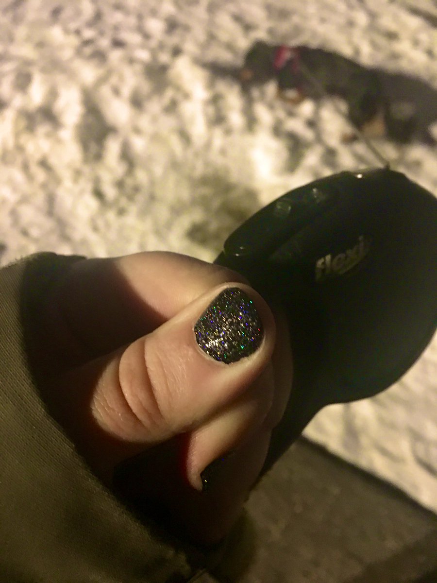 jsvanvlack's tweet photo. @holotaco @nailogical I want to say TY so much for the best customer service! Upon arrival, my halo taco was damaged. CS was quick to help! My replacement arrived today &amp; I’ve been mesmerized by its beauty. Even while taking my pup for a walk at 10 pm in Calgary. #HoloTaco https://t.co/vRyQz8EwXv