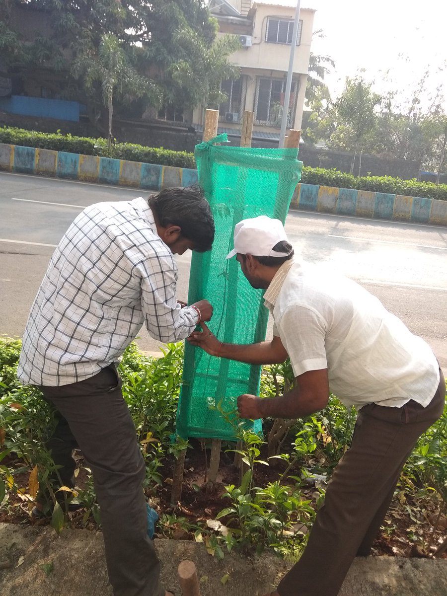 ShbFoundation's tweet photo. #157week
At #Medoz #road , #Thane(W)
Planted #1tree,#Guarded #2tree and watered to more than #15plants
Thanks to all participants https://t.co/YwMmW9EpvA