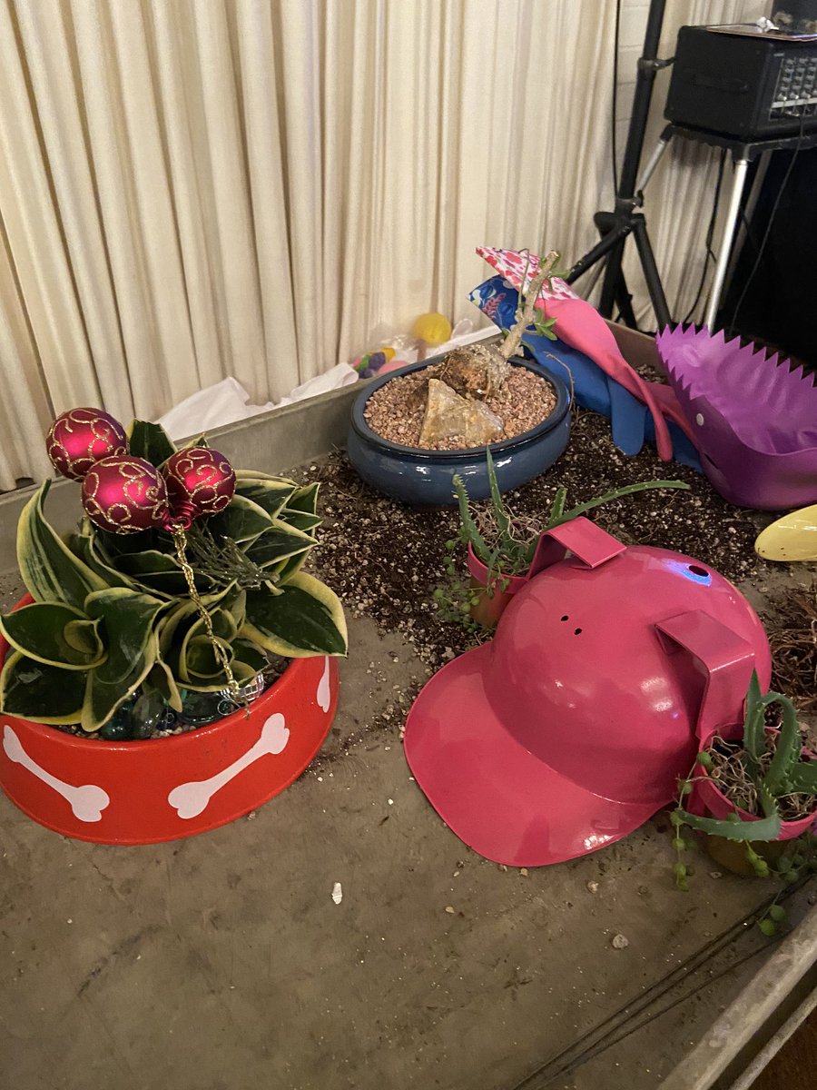 Crotalusandthem's tweet photo. I won the three rounds of the Pot Head Contest! From making Alluaudia inflorescences, potting blind-folded a dog bowl and hands off succulent bonsai repotting. #LACSS (plus check out that rare endemic Pelargonium cotyledonis from St Helena Island!) https://t.co/uiNyKf2mIJ