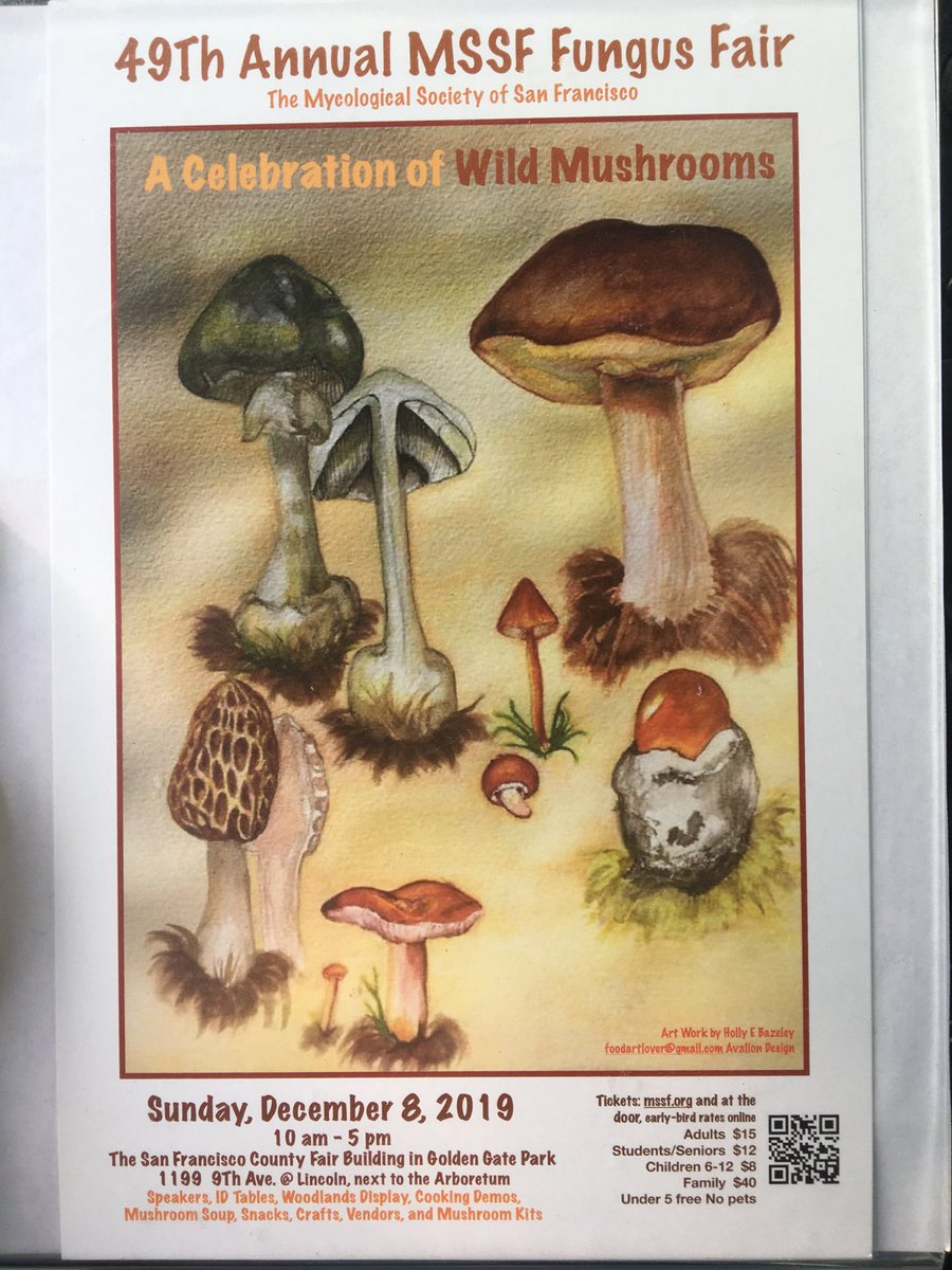 We will have fresh white truffles available and our famous black truffle butter tomorrow at the Mycological Society of San Francisco Fungus Festival!