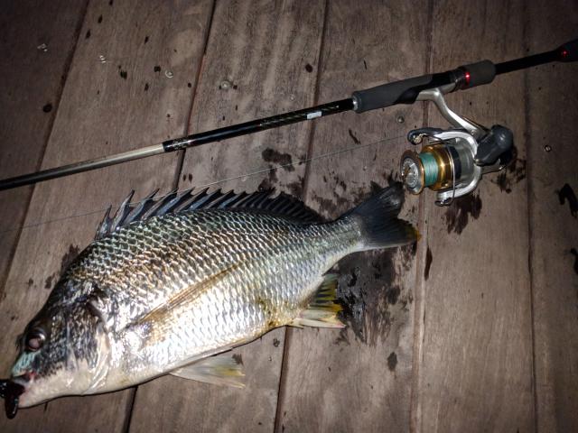 釣りペディア公式 チニングの練習がてらに T Co Klihyxjh8q 投稿者 コンソメ さん 場所 神奈川県 横浜ポートサイド公園 釣果 シーバス キビレ 良型のキビレとシーバス おめでとうございます 釣り 釣りペディア 釣り好きな人と 釣りペディア公式 チニングの練習がてらに T Co Klihyxjh8q 投稿者 コンソメ さん 場所 神奈川県 横浜ポートサイド公園 釣果 シーバス キビレ 良型のキビレとシーバス おめでとうございます 釣り 釣りペディア 釣り好きな人と