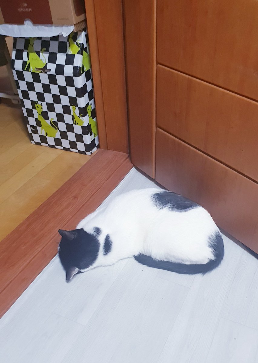 제일 따뜻한 곳을 찾아서