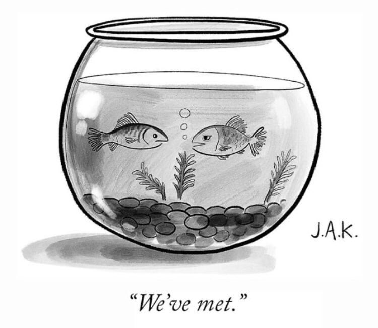 who knew, small world!