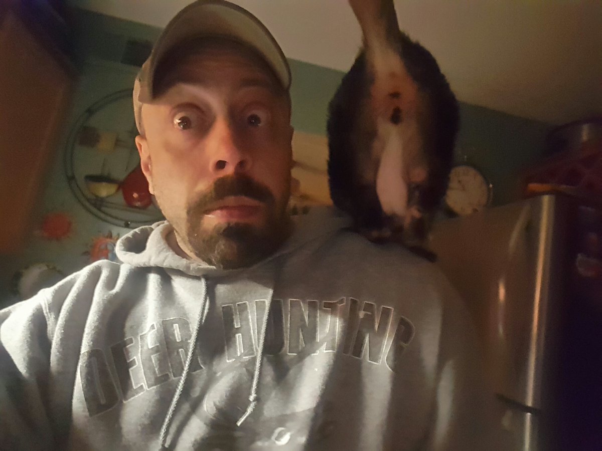 williger's tweet photo. Hope everyone's having a great weekend!! #KittenAround https://t.co/kq1aRFMkrY