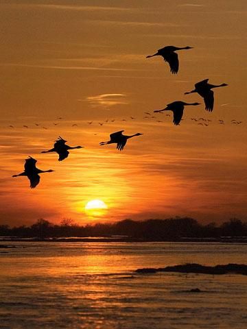 KatanaHugo's tweet photo. Good morning my dear friends ! 👋💙☕️
#photography #photo #PHOTOS #morning #sunrise https://t.co/i1likwcMMi