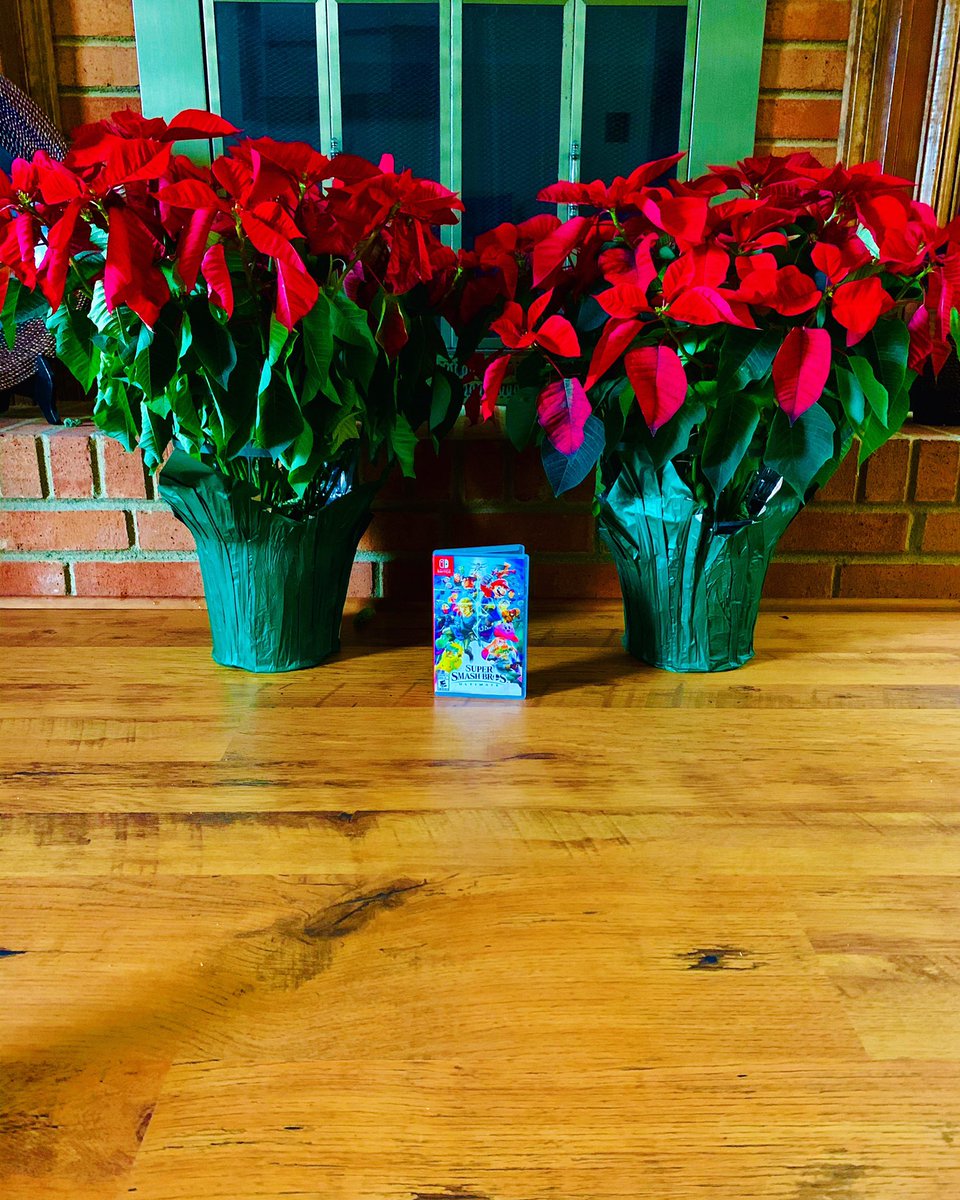PlushbrosThe's tweet photo. Happy 1 year anniversary Super Smash Bros Ultimate ❤️❤️❤️💙💙💙 Thank you soo much @NintendoAmerica for bringing us soo much fun and joy to the world 🌎❤️💙
#SmashBros #SmashBrosUltimate #SuperSmashBrosUltimate #Nintendo #NintendoSwitch #nintendogames #nintendofun https://t.co/nBcTdHawHw