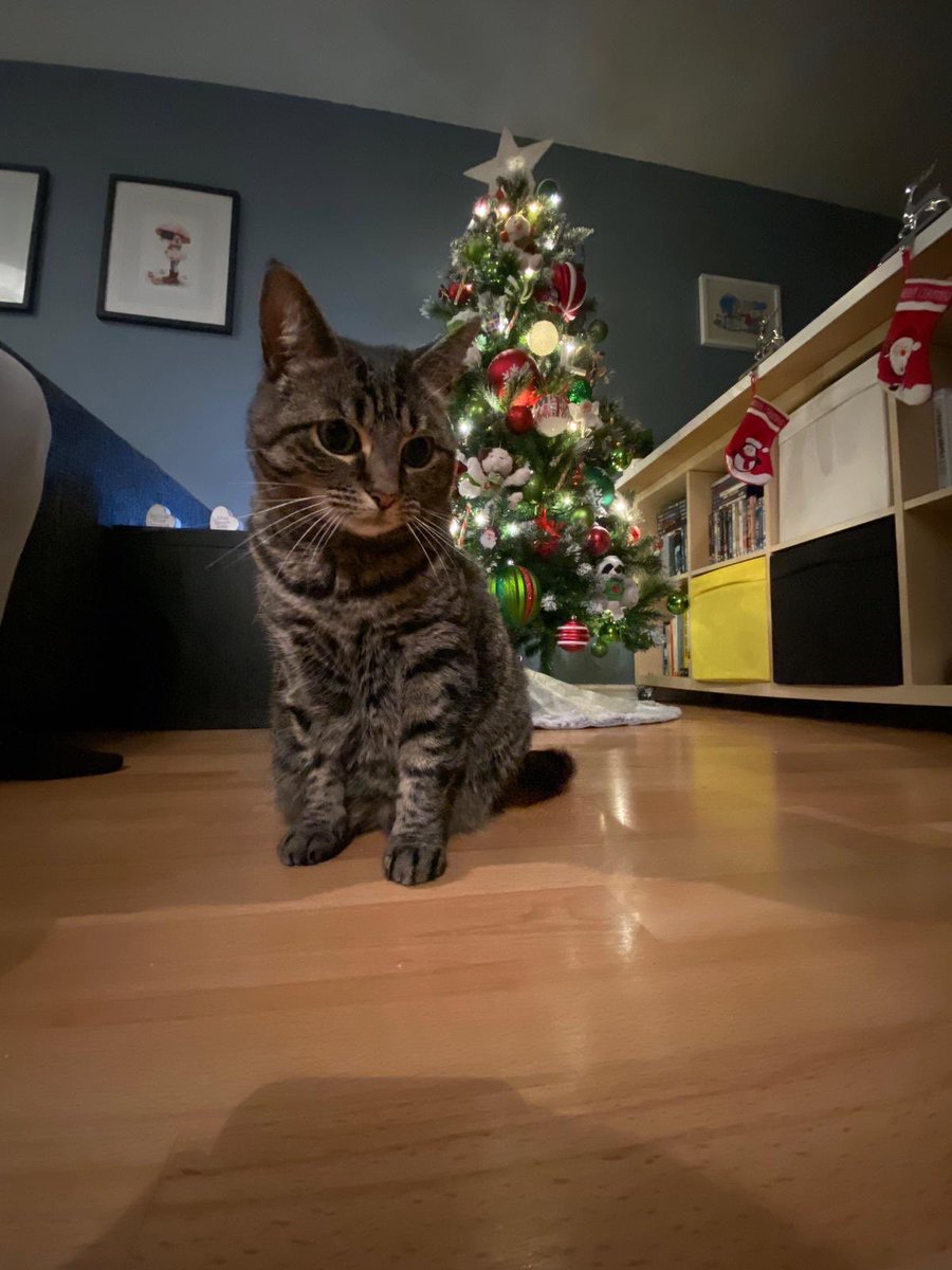 Getting ready for our first Christmas as Mummies 👩‍👩‍👧🎄💛@lindseymdesign