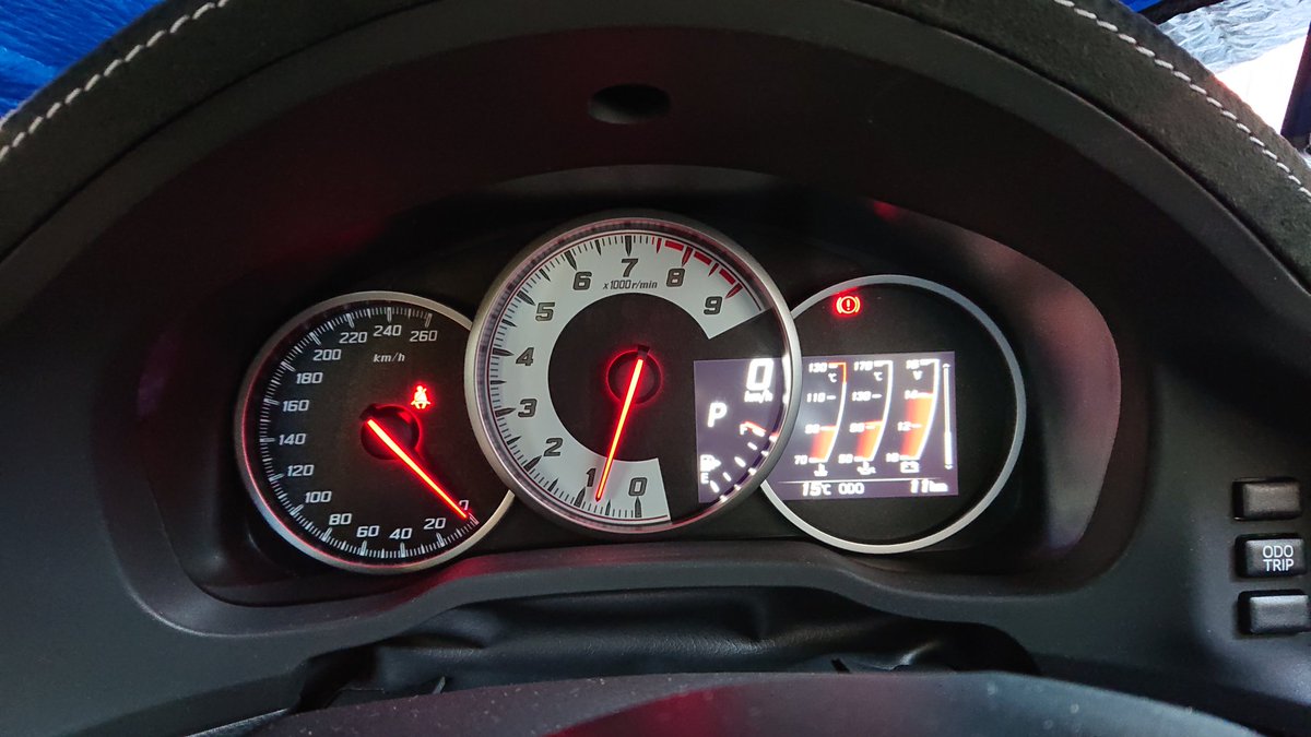 優しいオオカミ(紙)さん(´ー`) tweet media