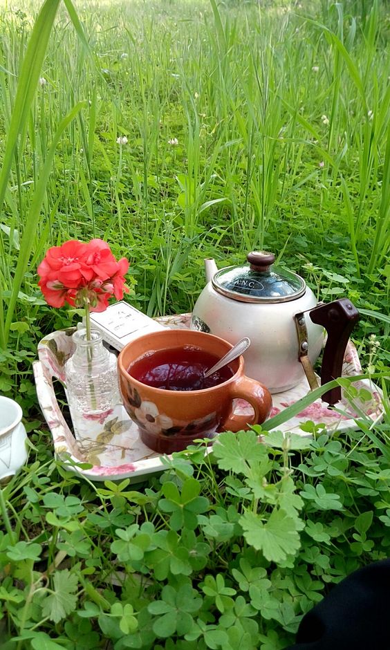 #همسه_صباحية 
عانق كل الأشياء التي تبقي مزاجك مزهراً ،
تأمل السماء وابتسموا بعمق ،
هون عليك ،فإن أيام الرخاء تسير في شوق إليك .
#صباح_الخير