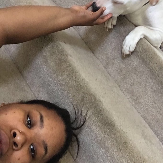 Top 4 of 2019 https://t.co/0VMEN9cau1<a href="/tag/newprofilepic"class="tags"><span>#newprofilepic</span></a>