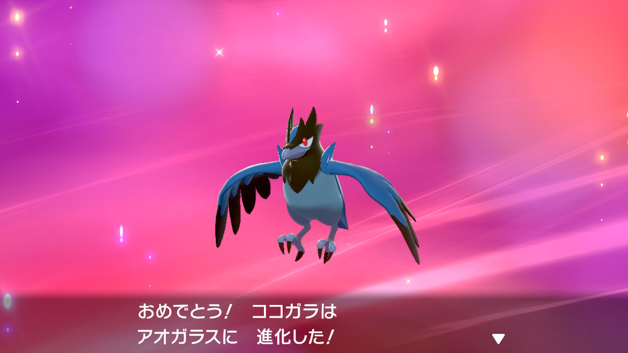ラッコ ココガラは進化したら急に凛々しくなってスタメン入りさせた思い出 ポケモン剣盾 Nintendoswitch T Co Fzzgdal3oh Twitter