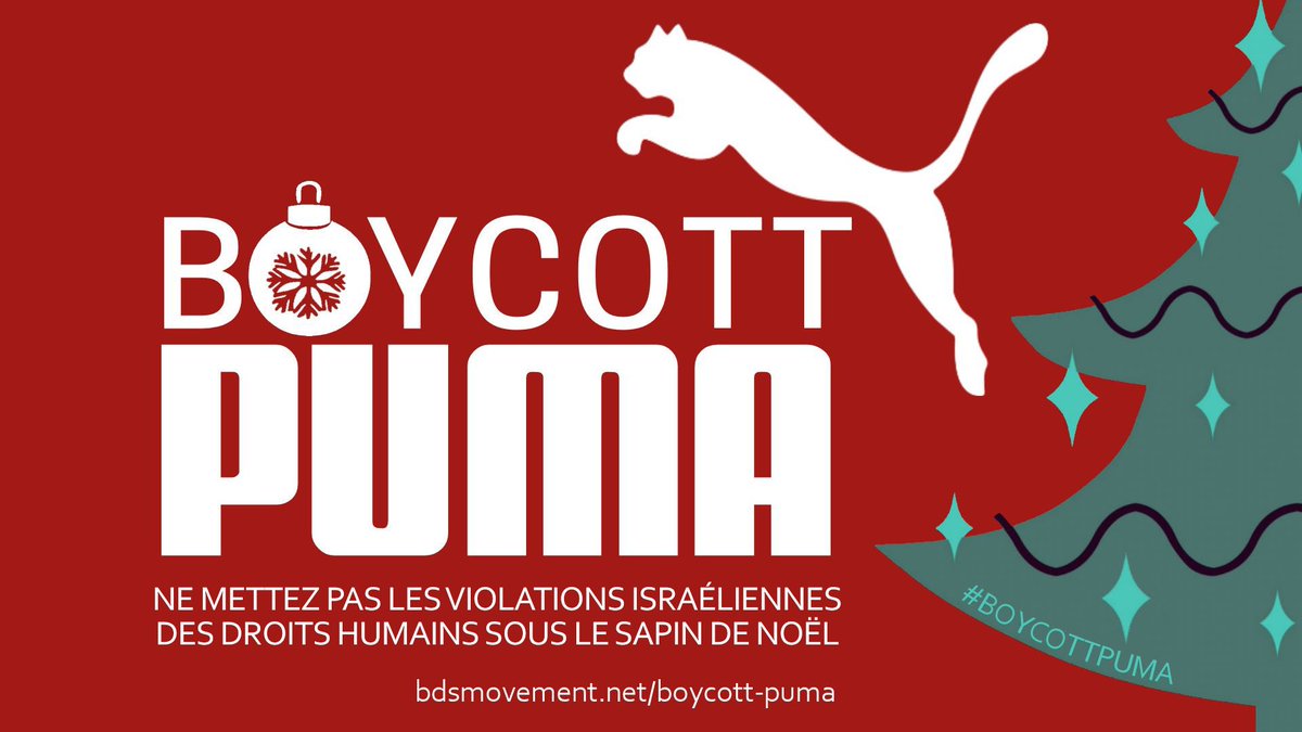 droits puma