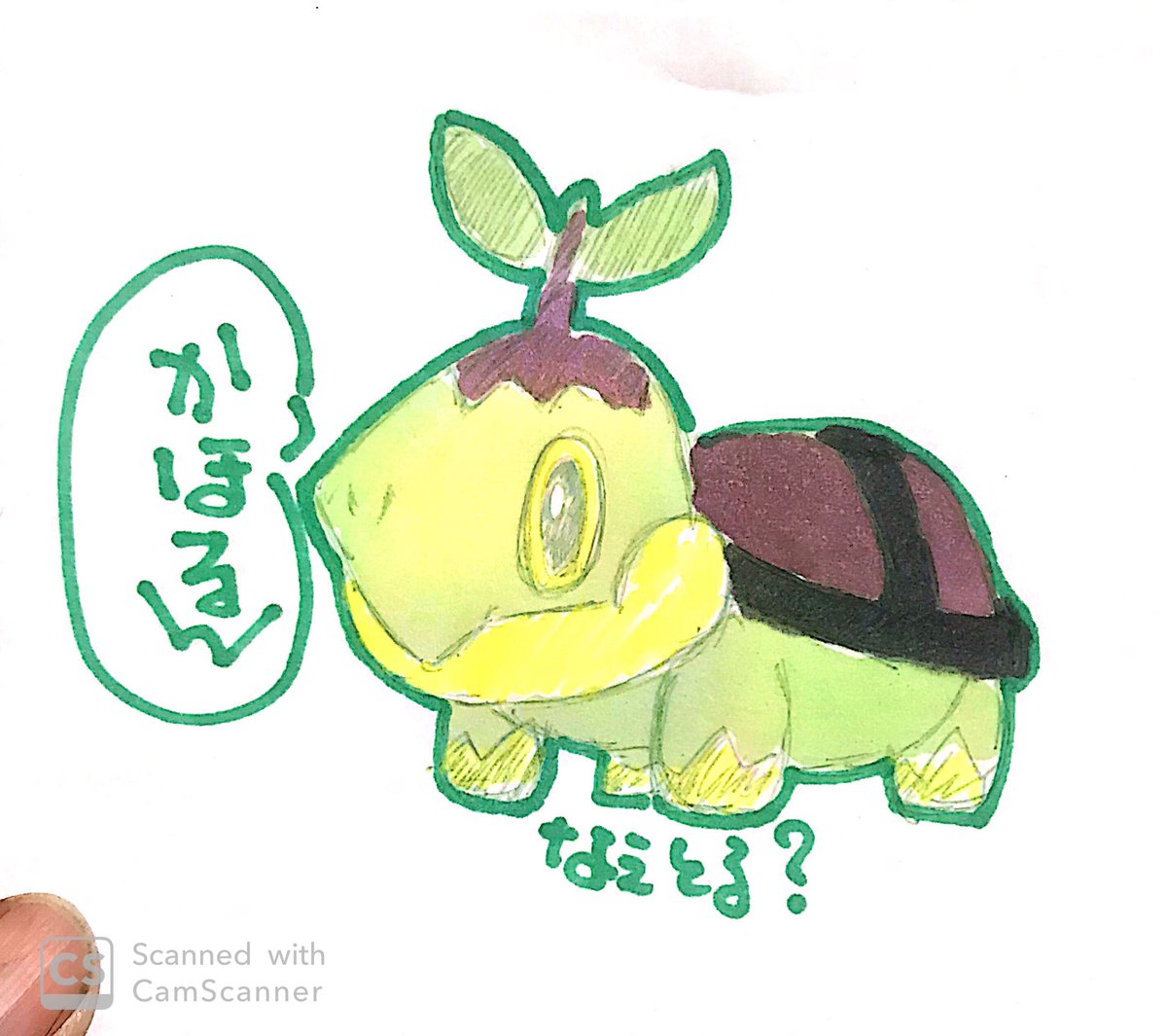 みっちゃん على تويتر ナエトル かほるんリクエストありがとうございます W イラスト ポケモン みっちゃん على تويتر ナエトル かほるんリクエストありがとうございます W イラスト ポケモン