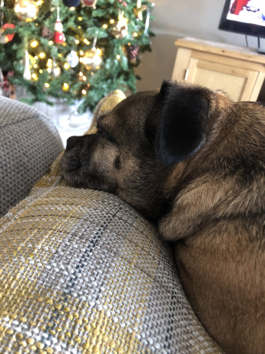 Amy88Sanders's tweet photo. Sunday got me like... https://t.co/8UhlvRQVOD