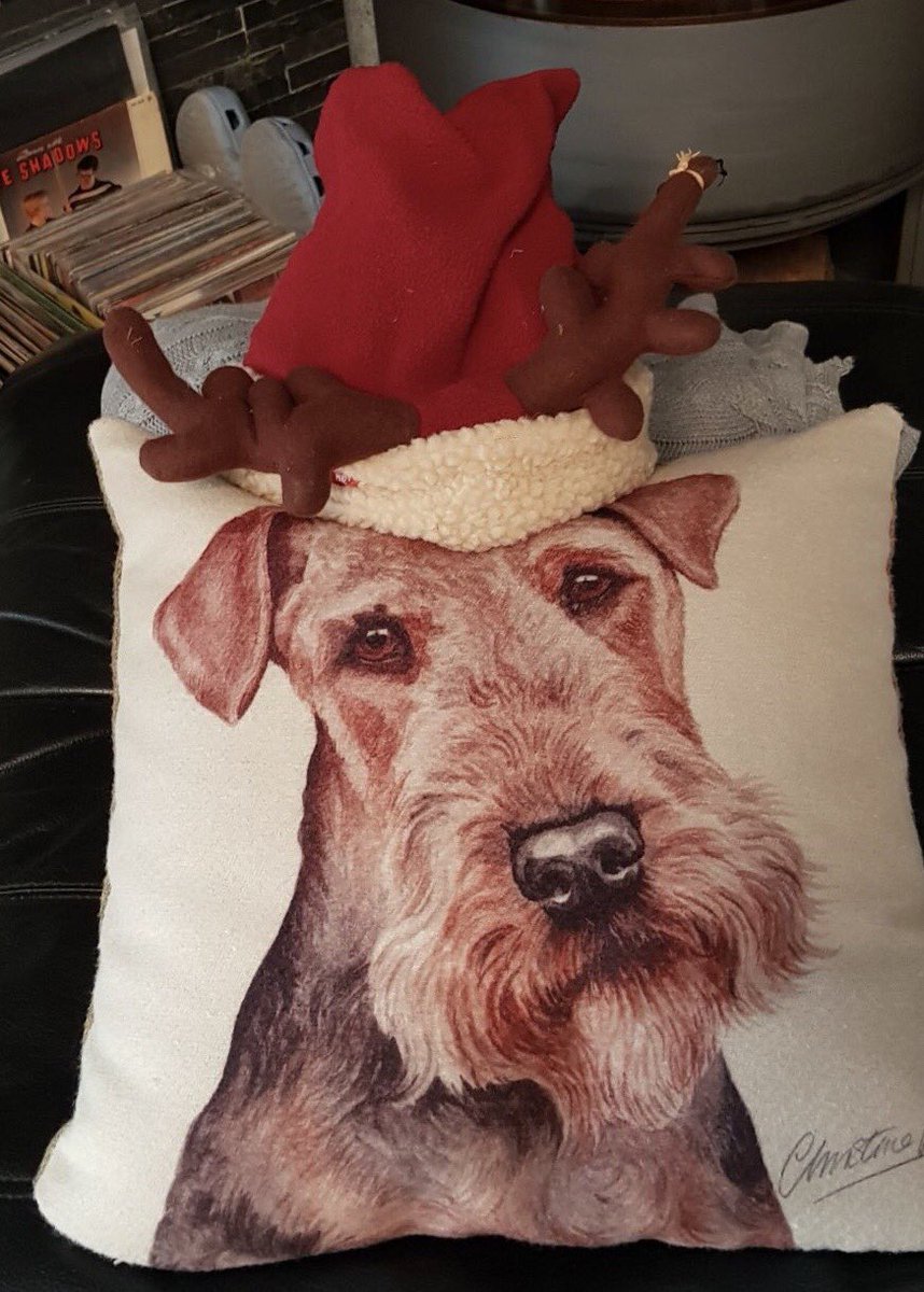MelodyNelson06's tweet photo. Merry Christmas 💫🎄🐾❤️ https://t.co/ApynYMfY8P
