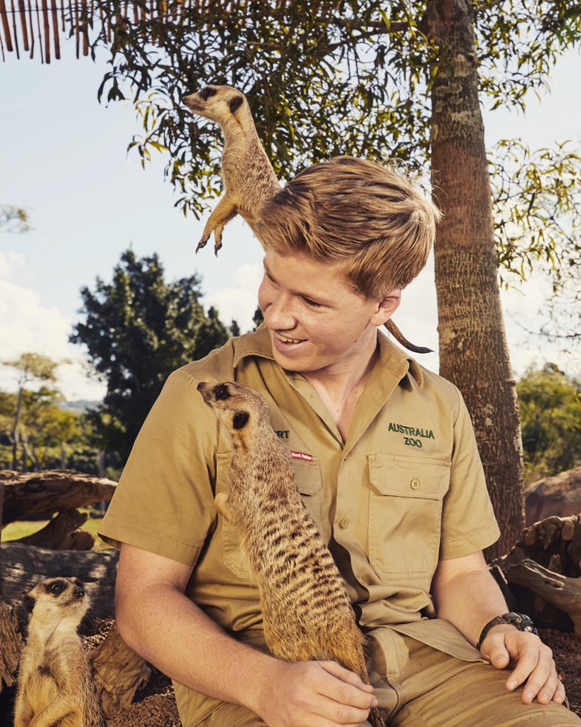 Robert Irwin on Twitter: Robert Irwin on Twitter: