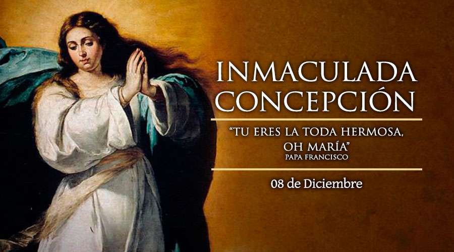 UCA Educación tweet media