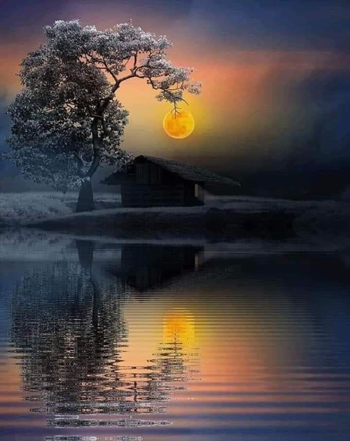 AHMED.🇺🇸 tweet media