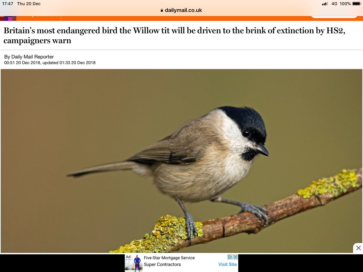 Outoftweet123's tweet photo. @SueHayman1 @serauk So how is that #PlanForNature supposed to work when you are destroying 108 ancient woodlands, killing 2% of UK Barn Owls, destroying nature reserves and driving species to extinction with a project that will expand 4 major airports?! How is that #RealChange ? https://t.co/V5SKO0WYC8