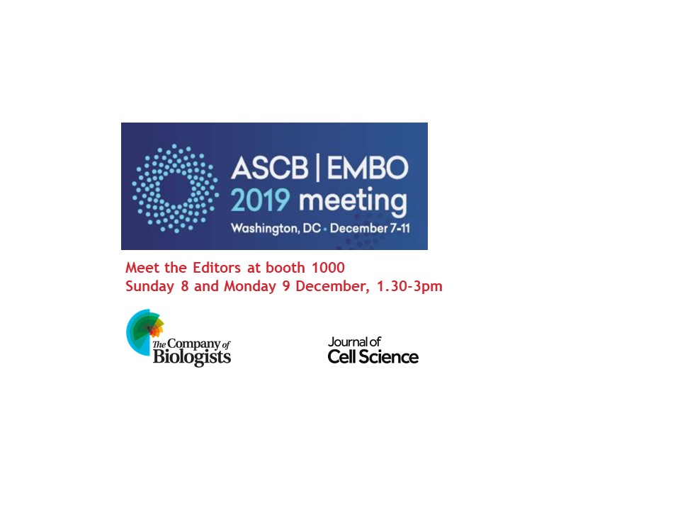 Co_Biologists's tweet image. Meet @J_Cell_Sci Editor-in-Chief @DrMichaelWay, Executive Editor Sharon Ahmad, Senior Editor Petra Gross, and Reviews Editor Stefan Galander at Booth 1000 on Sunday and Monday at #ASCBEMBO2019