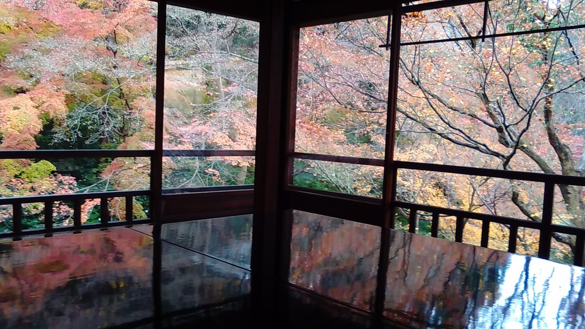 京都「瑠璃光院」に行って来ました