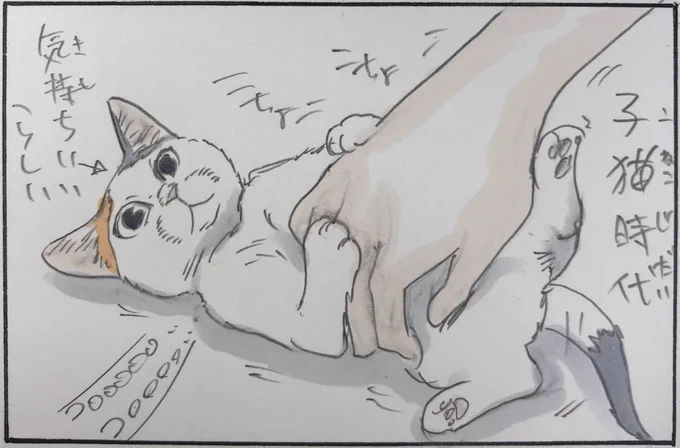 『イヤイヤケリケリ』 