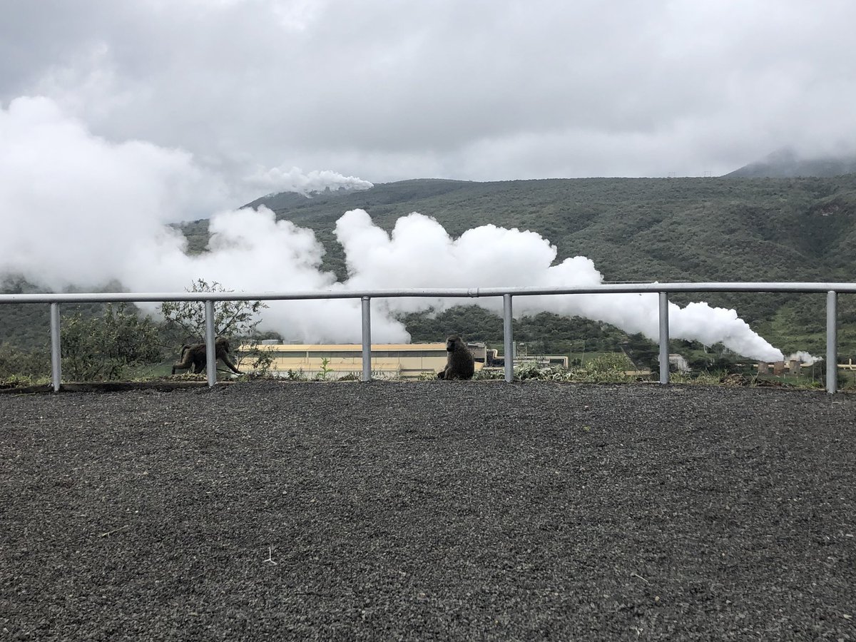 #KaribuKenya 🇰🇪 Vice-President Fayolle for your first visit to #olkaria #geothermal @KenGenKenya which @EIB has been supporting for years and will continue to do so @Gregoire_CLD #CleanEnergyforAll #ClimateAction