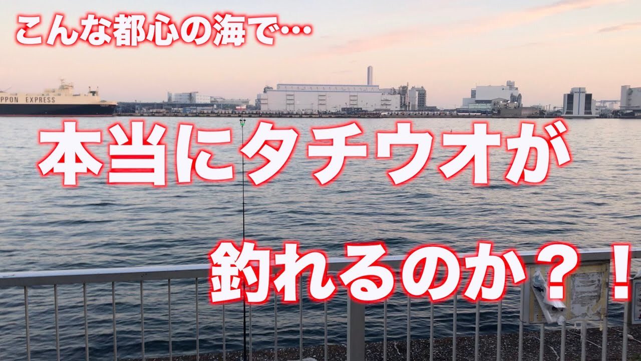 お魚ちゃんねるエイジ 暁ふ頭公園で釣り タチウオが釣れてると噂の公園で 久々釣行 そしてある事を決めました 19年12月1日 T Co 6uk2adw6gi 1つ決意をしました 暁ふ頭公園 釣り お魚ちゃんねるエイジ T Co Djxvzjtpjs