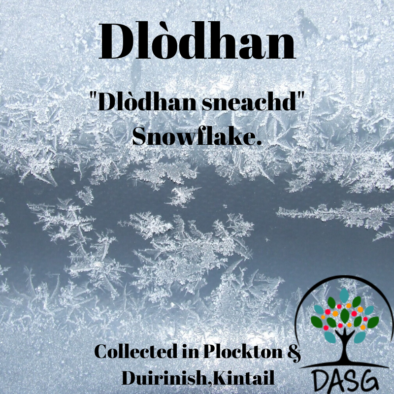 DASG_Glaschu's tweet photo. https://t.co/XJJlYeSKPN
#seachdainThàileach #KintailWeek
#Gàidhlig #Gaelic #DASG #archive #tasglann #UofG #Archivist #ScotlandsSounds #DigitalArchive #IYIL2019 #UNESCO #IsMiseGàidhlig #dlòdhan #sneachd #snow #winter #AmPloc #Plockton # Diuirinis #Duirinish #CeanntSàile #Kintail https://t.co/WoqQRCZ5L8