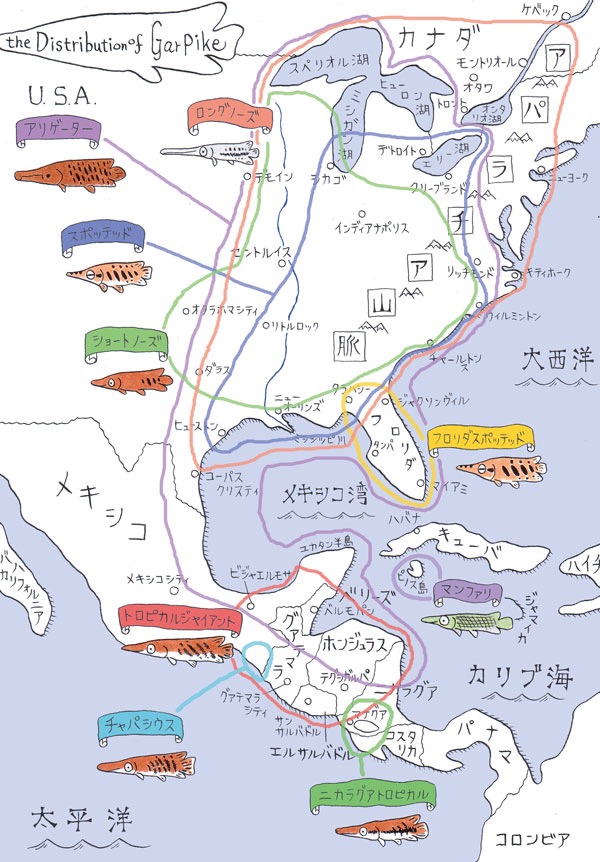 今夜の #ダーウィンが来た がガーパイク回と聞いて。 