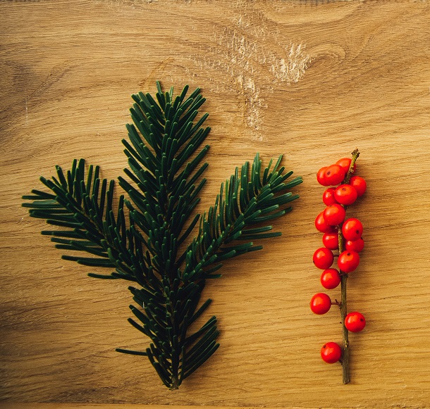 WildlifeTrusts's tweet photo. Tips for an #EcoChristmas: Avoid buying plastic decorations this Christmas. Bunting, origami, holly or pinecone decorations are much better than tinsel 🎄 
https://t.co/DG9iMYs7X6 https://t.co/J1VFDP6r1G