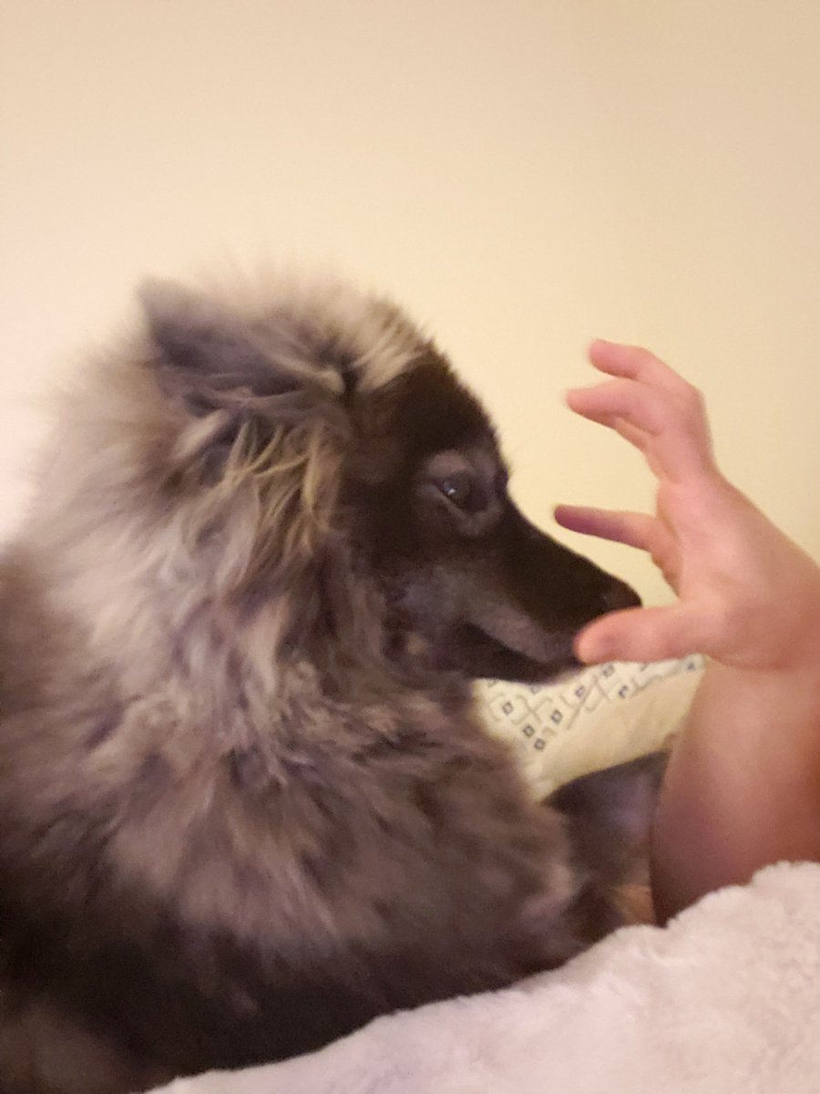 carboncyber's tweet photo. Ember fears no hand, as she stares into the palm of danger. https://t.co/oBM9BdOFfj