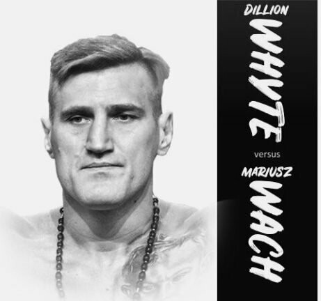 piesciarstwo_pl's tweet photo. Dobra postawa #Wach. Przegrana #Ruiz. #Eubank z tymczasowym pasem #WBA (#JoshuaRuiz2 #WhyteWach #EubankKorobov
#boxing) https://t.co/gnpk4LG4RS https://t.co/Tq7cbeN1W2
