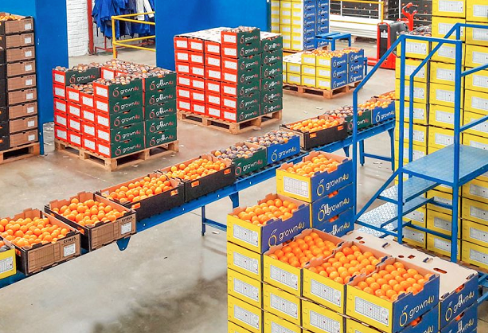 Tendaijoe's tweet photo. #KnowYourSA Limpopo Province is the Bread and Fruit Basket of South Africa, producing up to 60% of all fruit, vegetables, maize meal, wheat and cotton. https://t.co/hDemRUBgl3