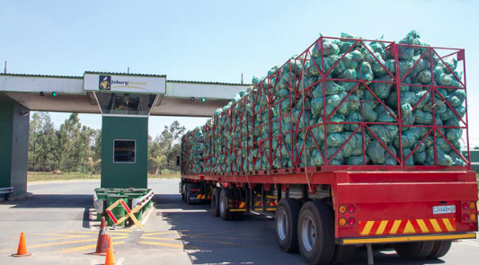 Tendaijoe's tweet photo. #KnowYourSA Limpopo is also one of South Africa's richest agricultural areas. More than 45% of the R2-billion annual turnover of the Johannesburg Fresh Produce Market comes from Limpopo. https://t.co/9KZuBJPUWj