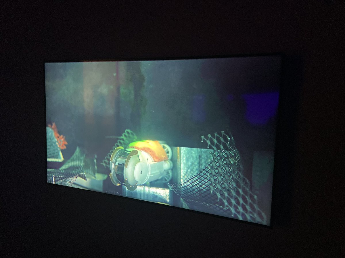 KerryEngageArts's tweet photo. Engaging conversation with #QUT’s Professor Matt Dunbabin &amp; @MichaelCandy at opening weekend of @QAGOMA #water exhibition. Discussing #AI #naturalsystems #roboticvision #environmentalrobotics #ethics 
Image: Michael Candy, Little Sunfish, 2019. https://t.co/jGIxxw0Zom