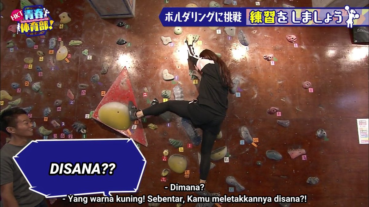 Sashihara Rino Fans tweet media