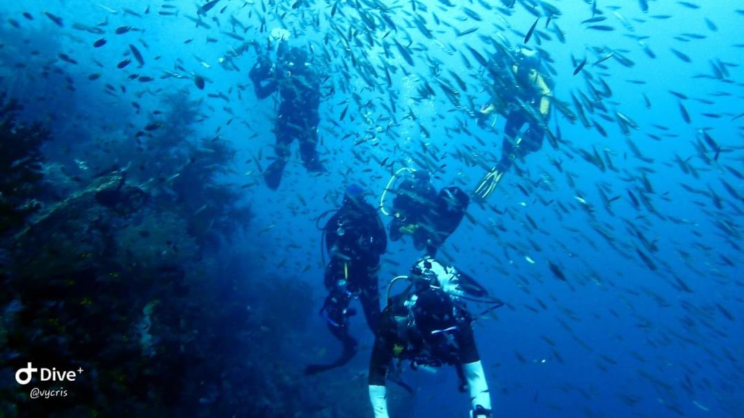 honeyean's tweet photo. Many many thanks to my #TeamMates fought for the last few votes as I was doing this. It was a #dive trip planned almost a year ago! Will be working hard now, #TeamStar! #RajaAmpat #LiveToDive https://t.co/g4x9jAZnaK