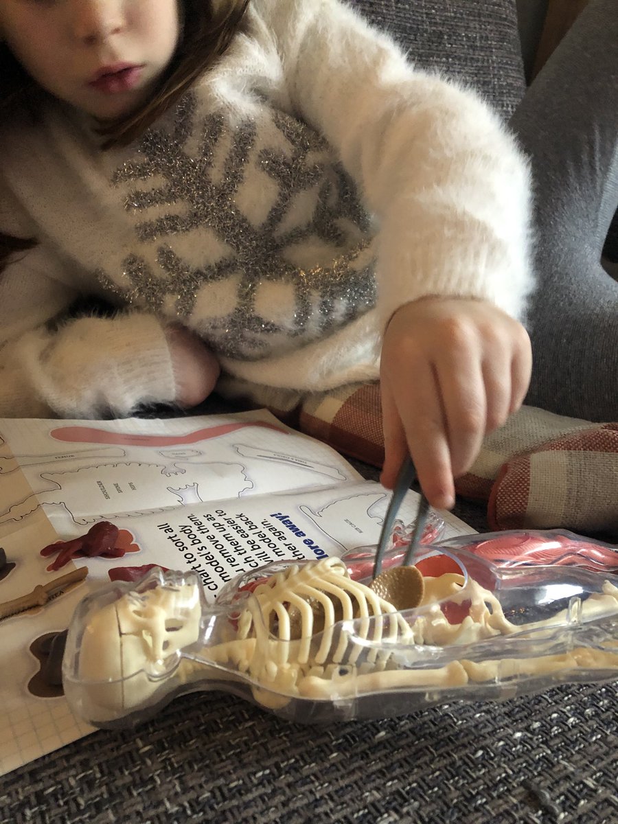 loopylouhunter's tweet photo. @MissRoss_5 learning about what all the body parts are called and how to say them, and where they go. #homesurgery 👩⚕️🔬 https://t.co/Ndy5y6G5RC