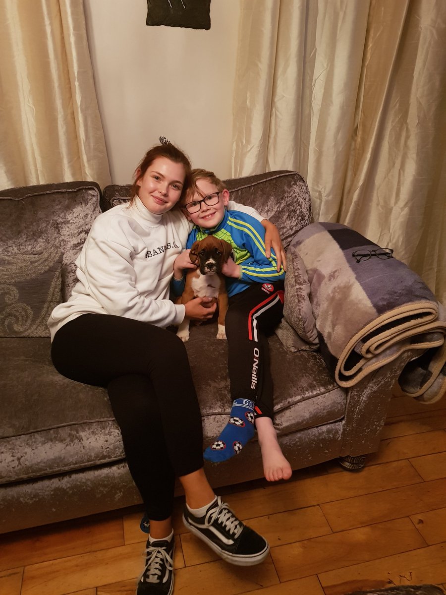 We welcomed Willow into our family yesterday we have been missing a big part of our family since Islay passed in April but hopefully this little lady will help 💕💕