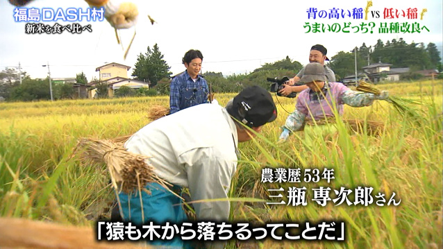 Dash村19度目の稲刈り Tokioが品種改良中の稲から松岡のプロデュースした新種の米がまさかの高評価 鉄腕dash Togetter Dash村19度目の稲刈り Tokioが品種改良中の稲から松岡のプロデュースした新種の米がまさかの高評価 鉄腕dash Togetter
