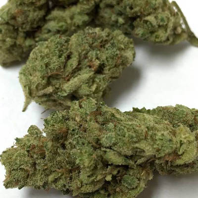 happydayscunit's tweet photo. Esta Gorila Glue, pese a que tiene un porcentaje equilibrado de sativa e indica, es una cepa muy potente pues su poder proviene de su parte sativa.

Más información en nuestra web: 
https://t.co/KUUlHVi77w

#stayHD #happydays #coffeeshop #music #tarragona #cannabis #gorilaglue https://t.co/oQ1OqPycco