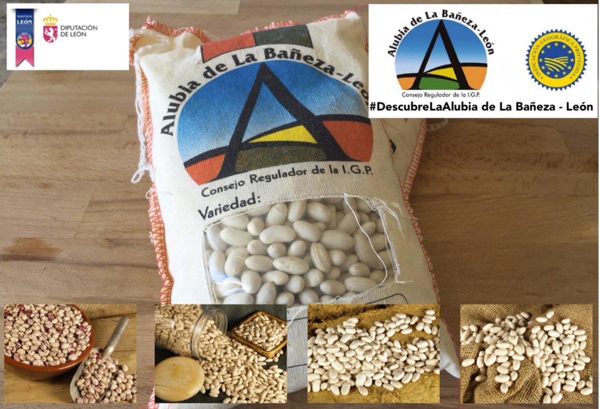MercheBorjasOrt's tweet image. Estad muy #atentos porque os estoy #preparando una #pedazo de #receta con estas #maravillosas #alubias de la Bañeza-León que os va a dejar #ojiplaticos!! No os lo #perdais 
#DescubreLaAlubia de la Bañeza- León!! 😍👍