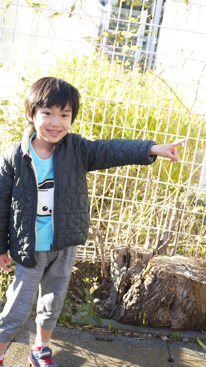 りとくん キッズモデル Ritokun15 Twitter