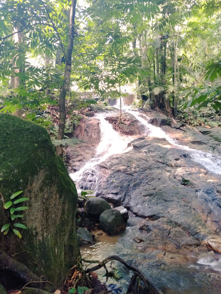 percutian's tweet photo. FRIM Waterfall, Kepong
.
udara yang nyaman, air terjun yang bersih dan juga ada kawasan untuk jogging. Best! min rasa mcm nk pergi berkelah pulaaaa https://t.co/zwUZZet7BI